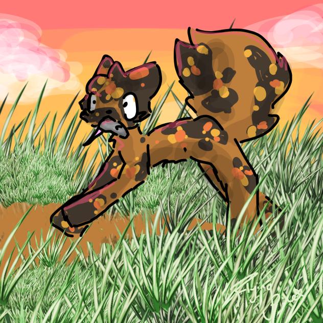 idk warriors I guess