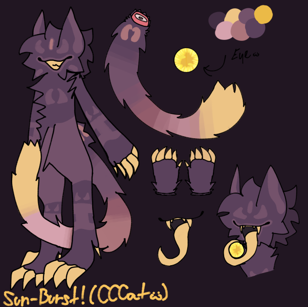 another cccats oc ( Sun-burst!)