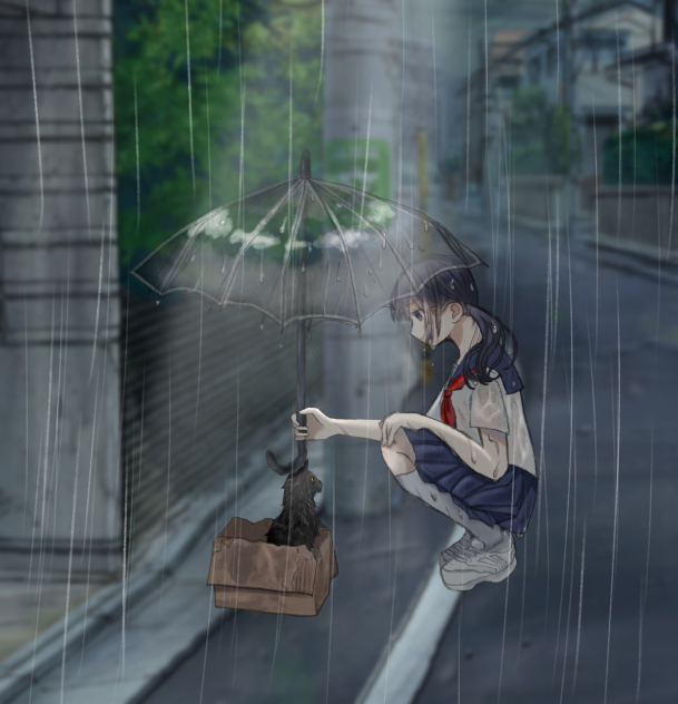 企画見本