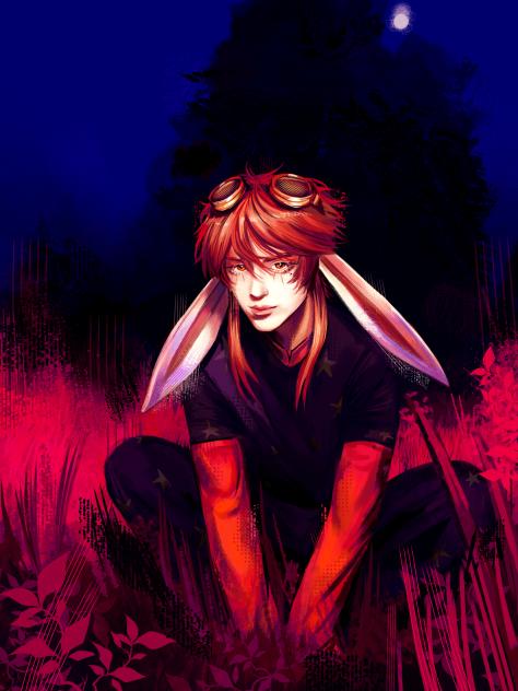 Rabbit