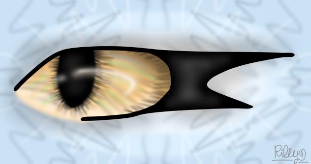 eye #6! i love it