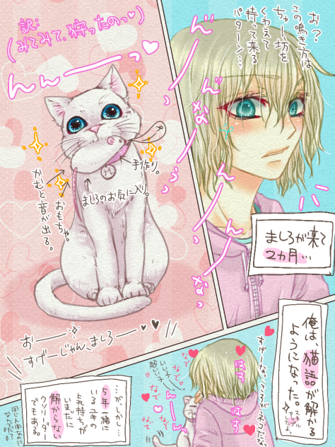 猫語をマスターしたよっ🐱❤️✨