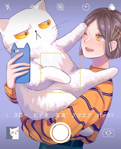 私とメインクーン