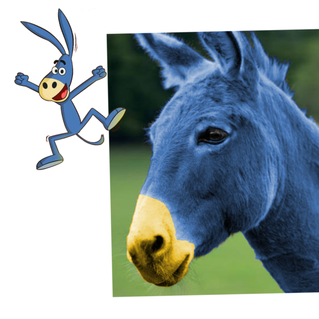 Babban The Donkey