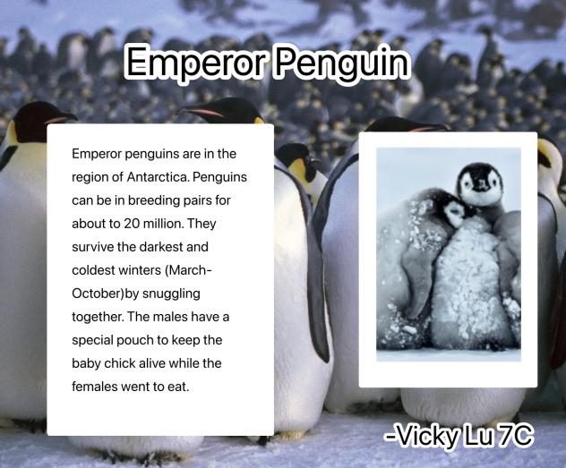 Watch me struggle with my homework 🤑🤑🤑