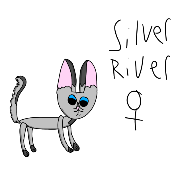 Rise of the cats l Silver River