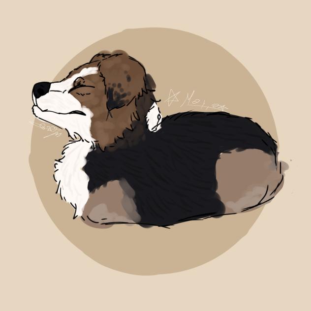 loaf (this is my dog)