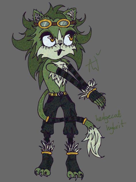 Sonic OC