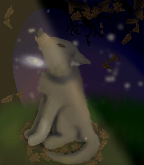 howling at an empty sky