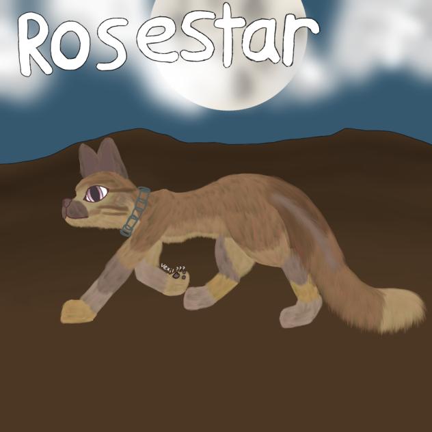RoseStar