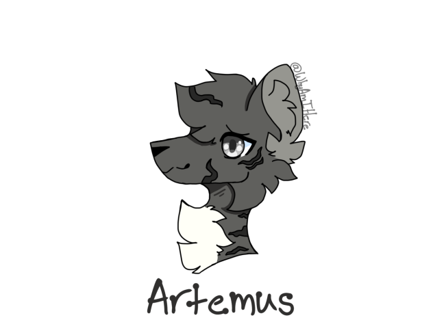 Artemus - Costume Oc