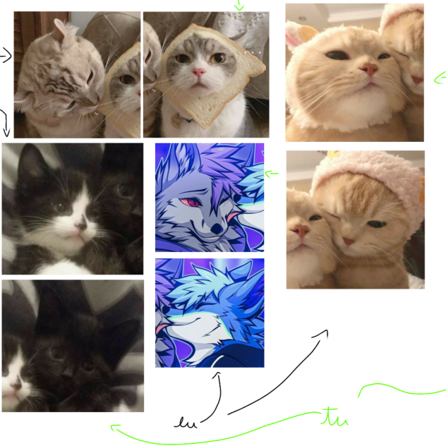metadinha de gato e furry