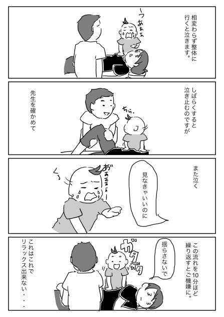 整体