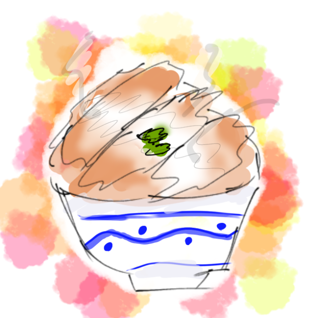 思い出に残したかったカツ丼