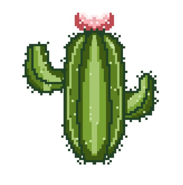 Cactus pixel 4