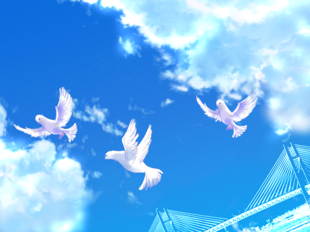 鳩、青空背景１