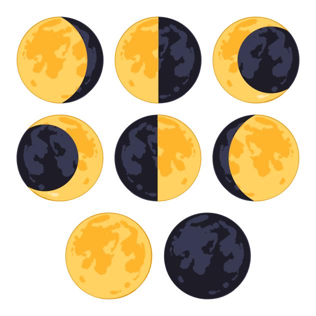 Lunar Cycle