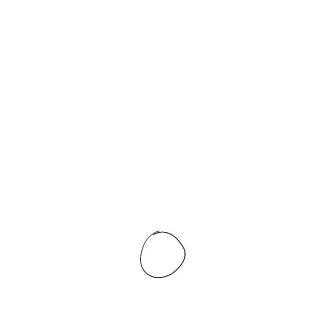 my frist animation
