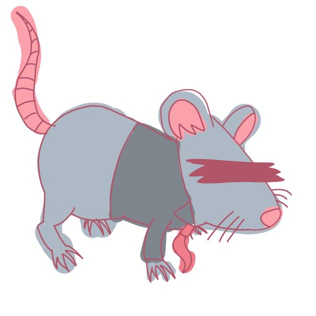 tikus kantor