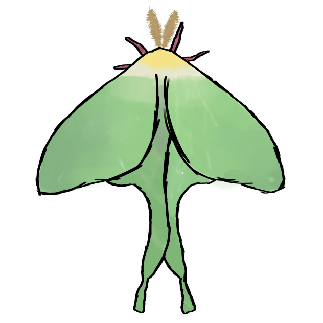 Lunar Moth
