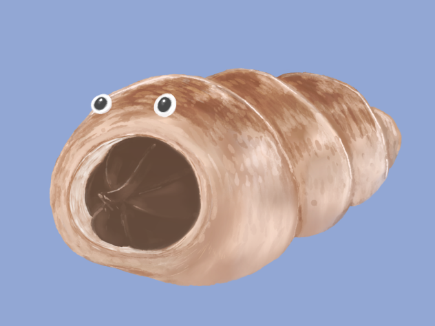 ころねくん
