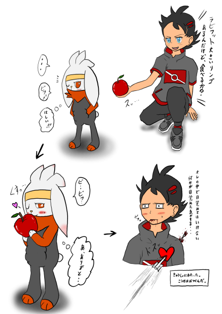 ポケモン　ゴウとラビフット5