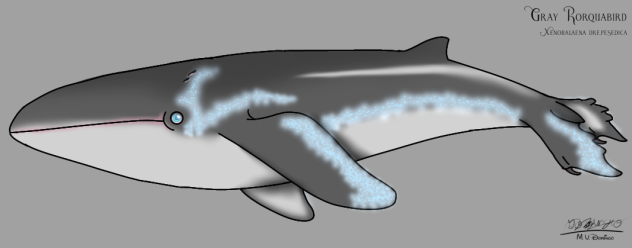 Gray Rorquabird (2023) glow