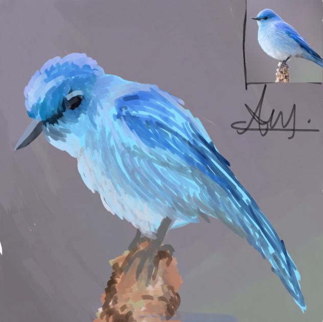 Birdy