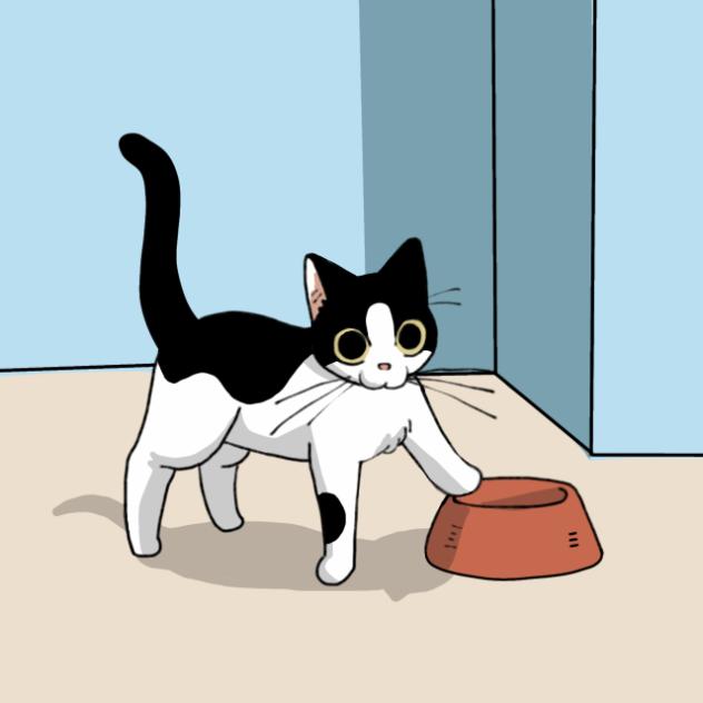 Kitty