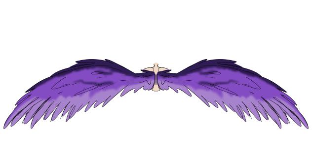 Sully’s wings