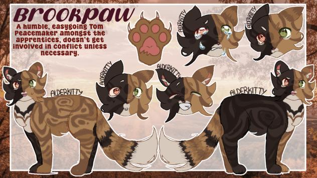 Brookpaw reference sheet