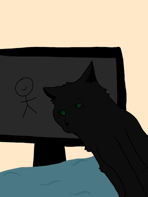 my cat- Ninja! hes sneaky