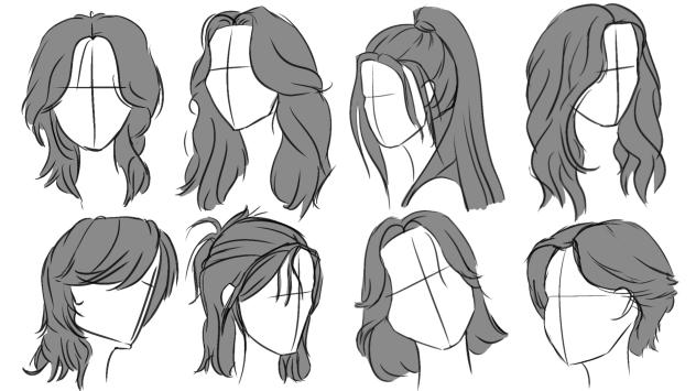 hair studies