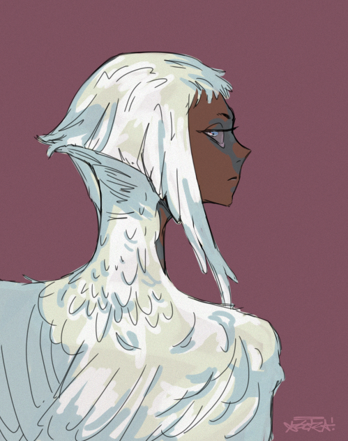 🕊️