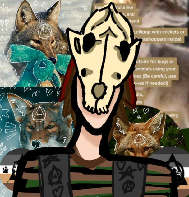 Coyote theriotype is meh