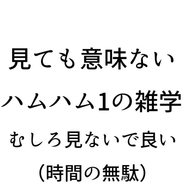 見ても意味ないハムハム1の雑学 むしろ見ないで良い（時間の無駄）