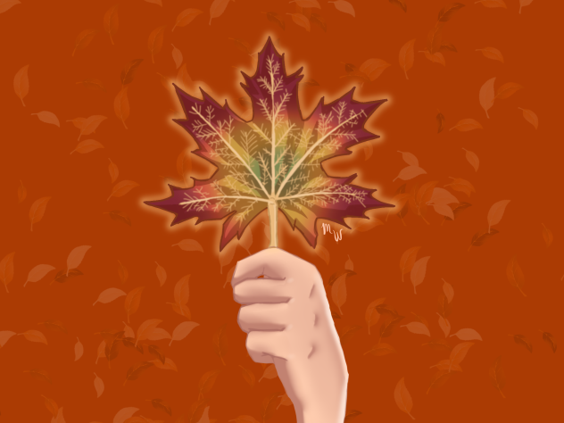 Fallpaper🍁