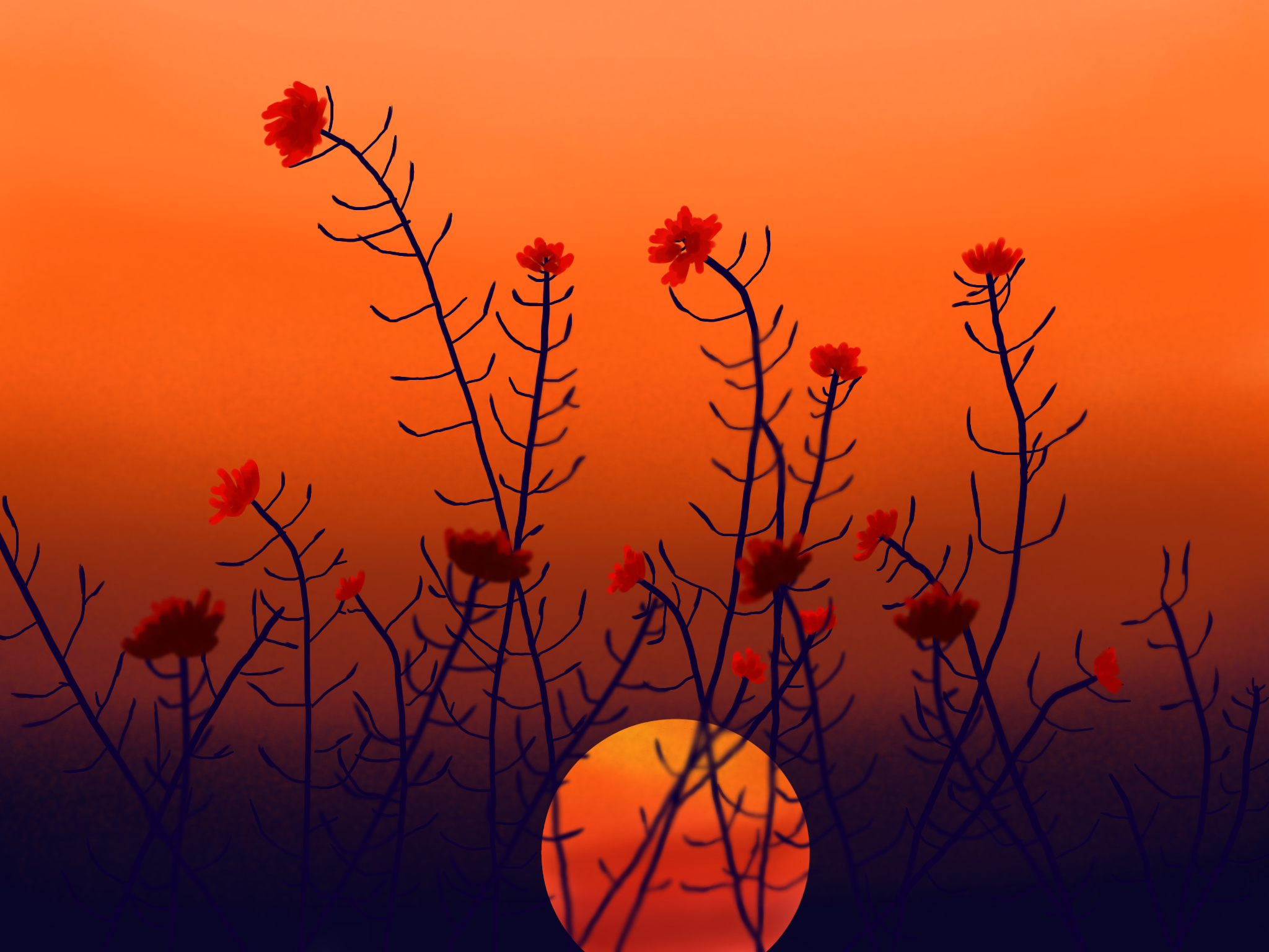 Flower in the Sunset - ibisPaint