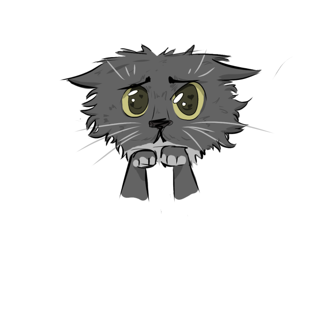 cute cat - ibisPaint