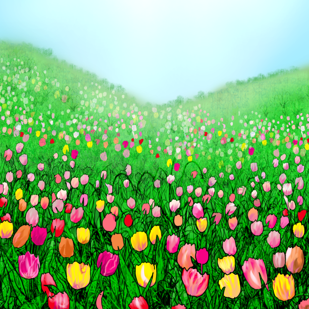 Tulip field