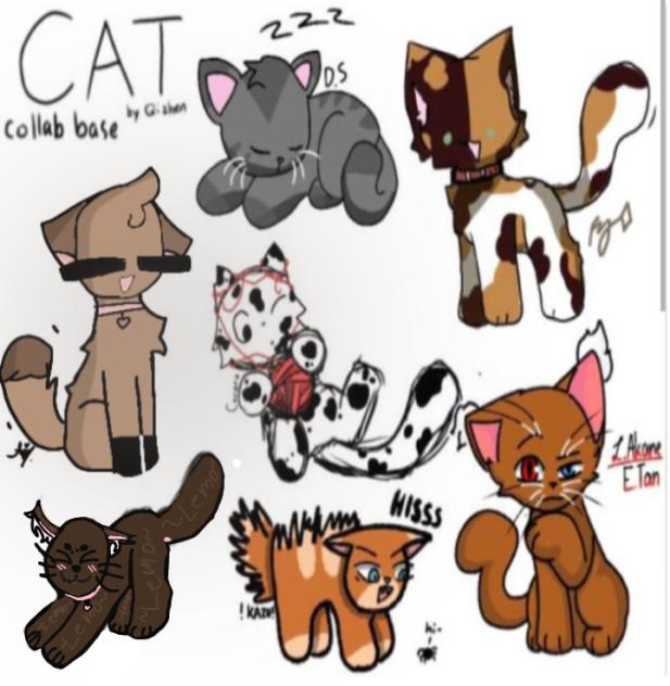 collab 8