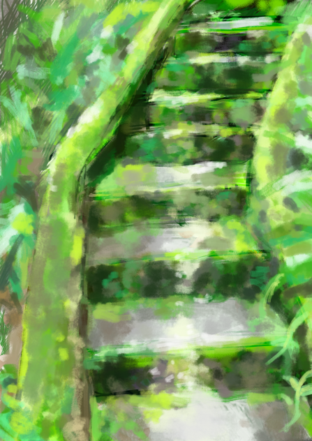 苔生す石段