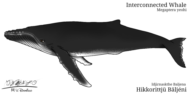 Interconnected Whale