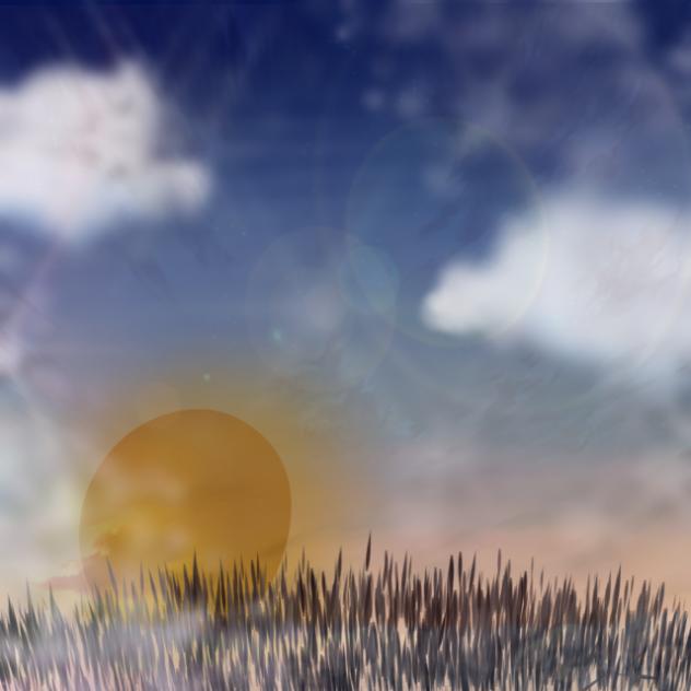 The night sky