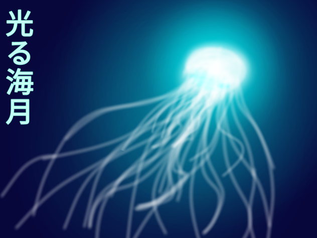 光る海月