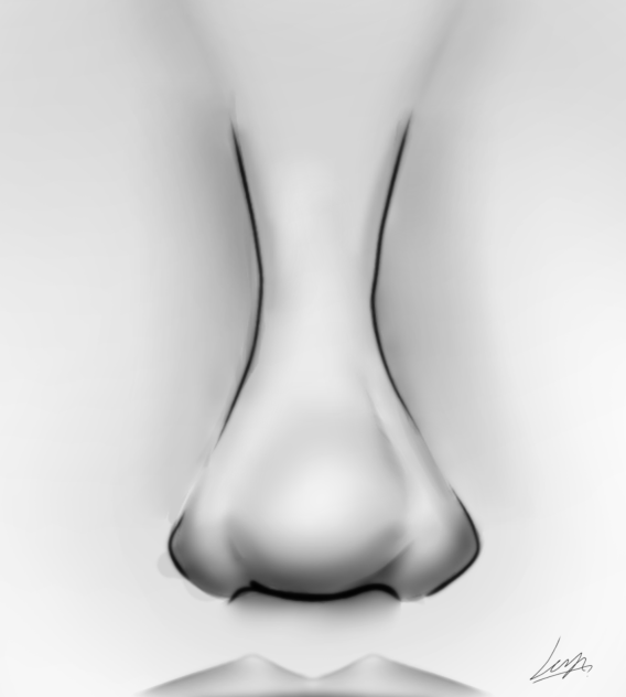 Random Nose 1 ibisPaint