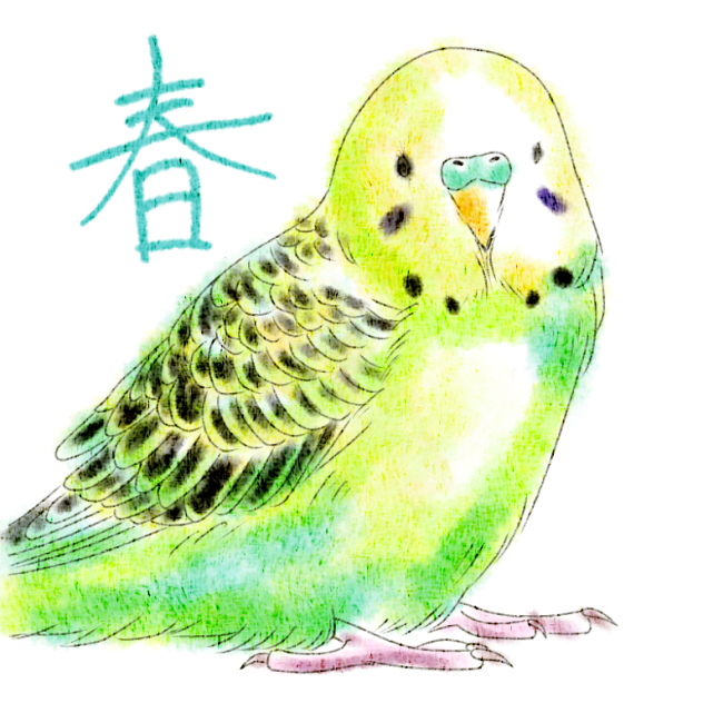 うちのペットの春(○´∀｀○)