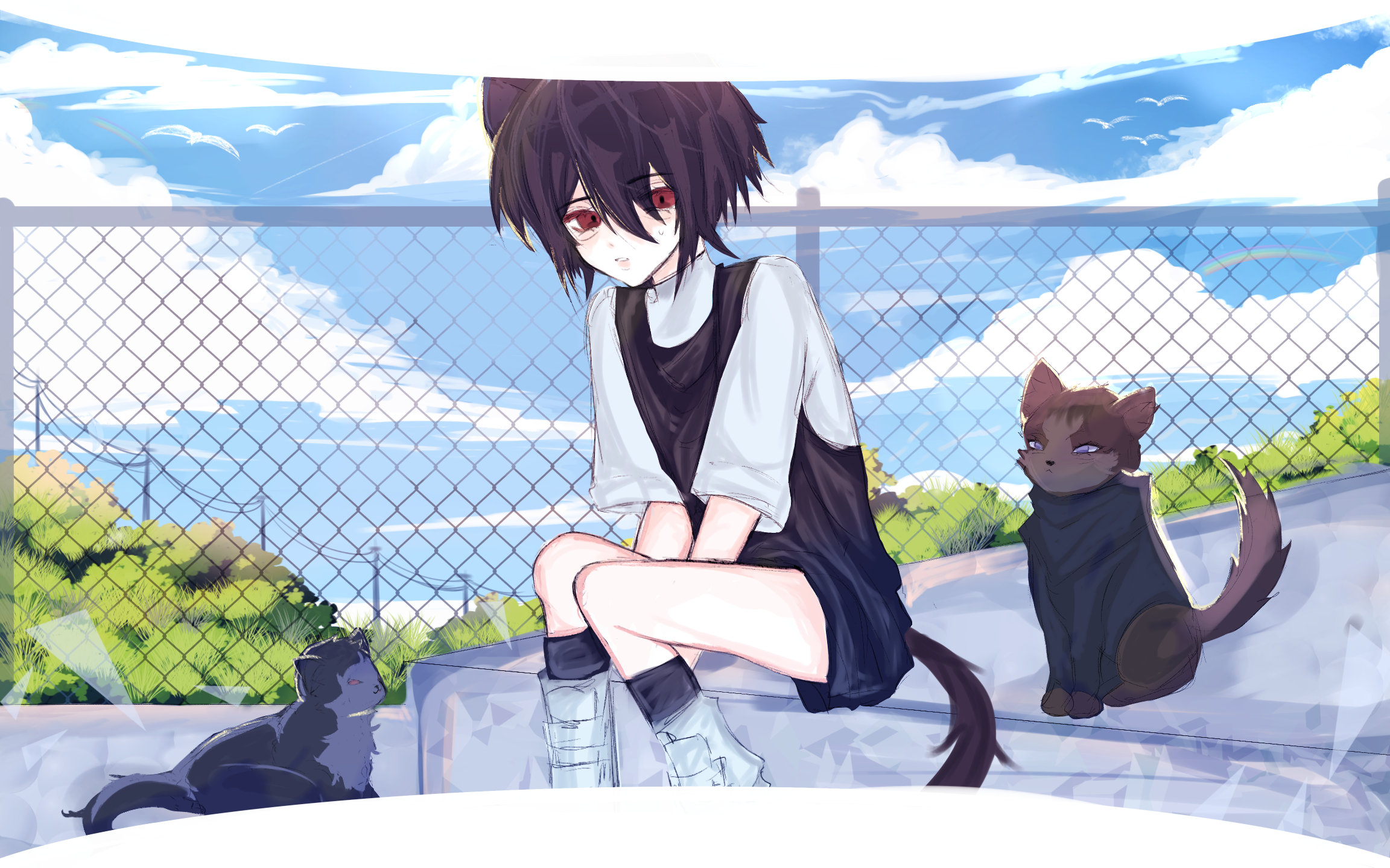 play w cat00 - ibisPaint