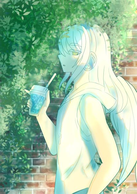 夏のエル