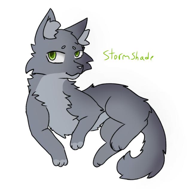 Stormshade warrior cats